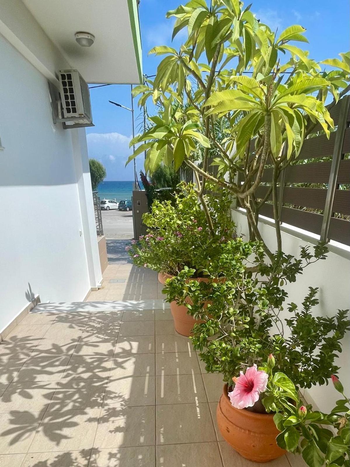 Gasthaus Stegna Hibiscus Archangelos  Exterior foto